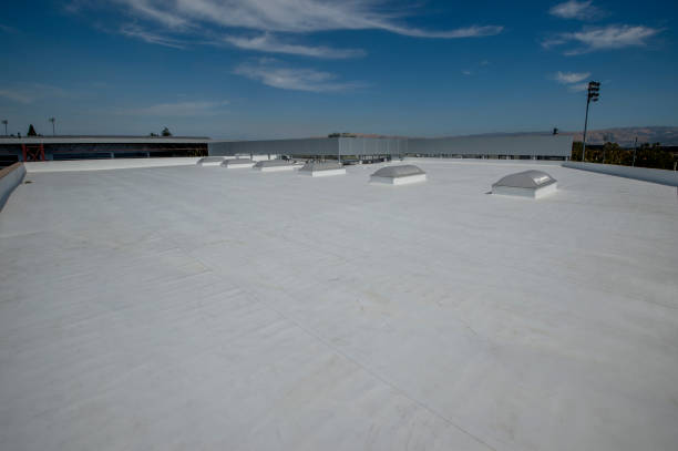 Best Rubber Roofing (EPDM, TPO)  in Albany, LA